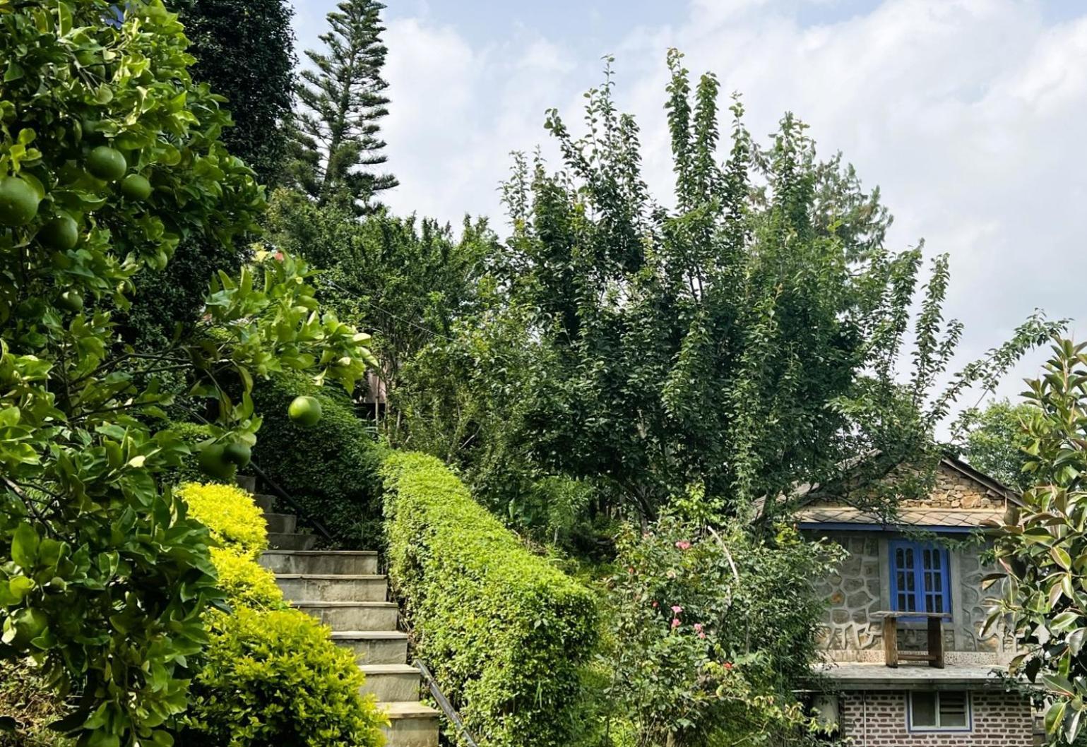 Joy Source Resort Catmandu Exterior foto
